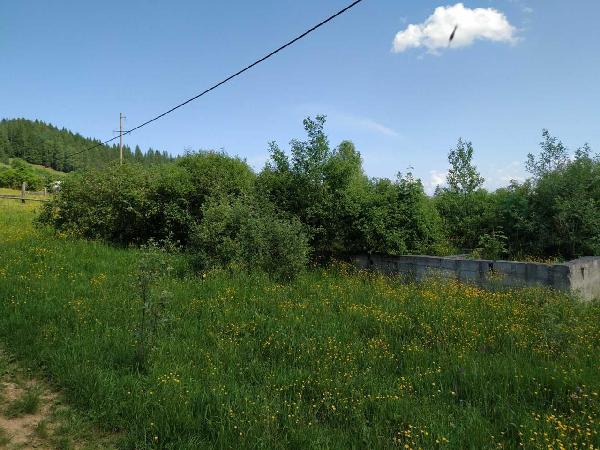 земля продам село Микуличин, фото 8 з 10